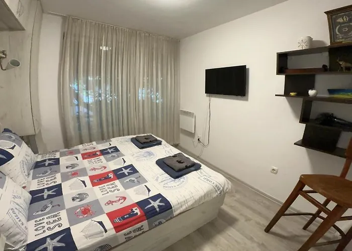 Eli's Cozy Place 公寓 索菲亞